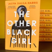 صورة The Other Black Girl