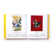 صورة Bird: Exploring the Winged World