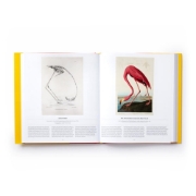 صورة Bird: Exploring the Winged World