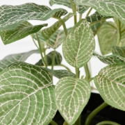 صورة Fejka Artificial Potted Plant